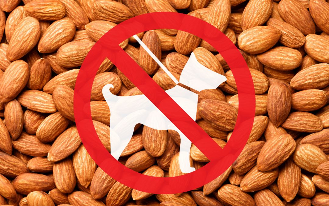 Can Dogs Eat Almonds? The Risks and Safer Alternatives Unpacking the Health Implications of Feeding Almonds to Dogs, with Expert Insights and Nutritional Comparisons